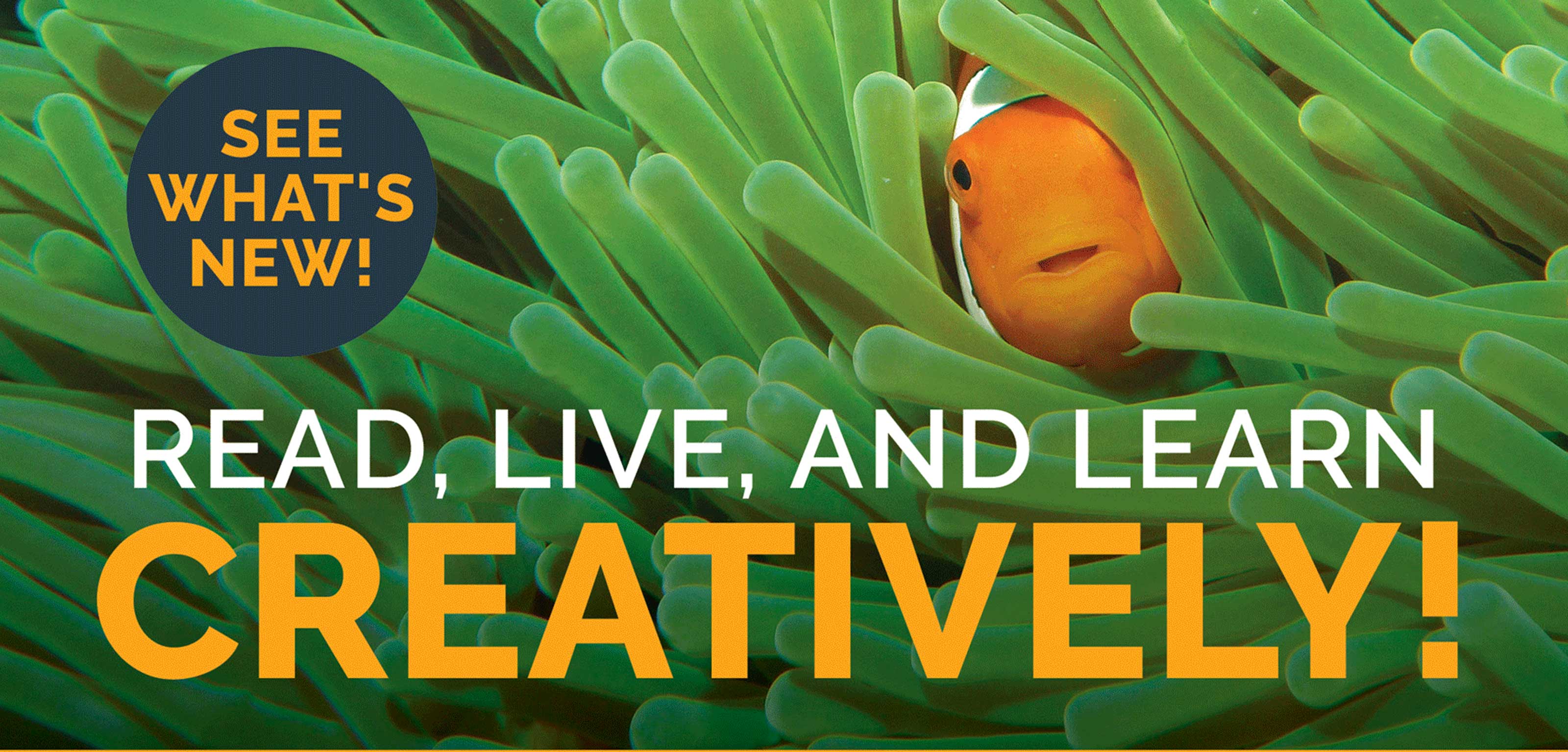 PUB-08-2264-TCC-Creative-Company-Co-Op-LP-header-r1