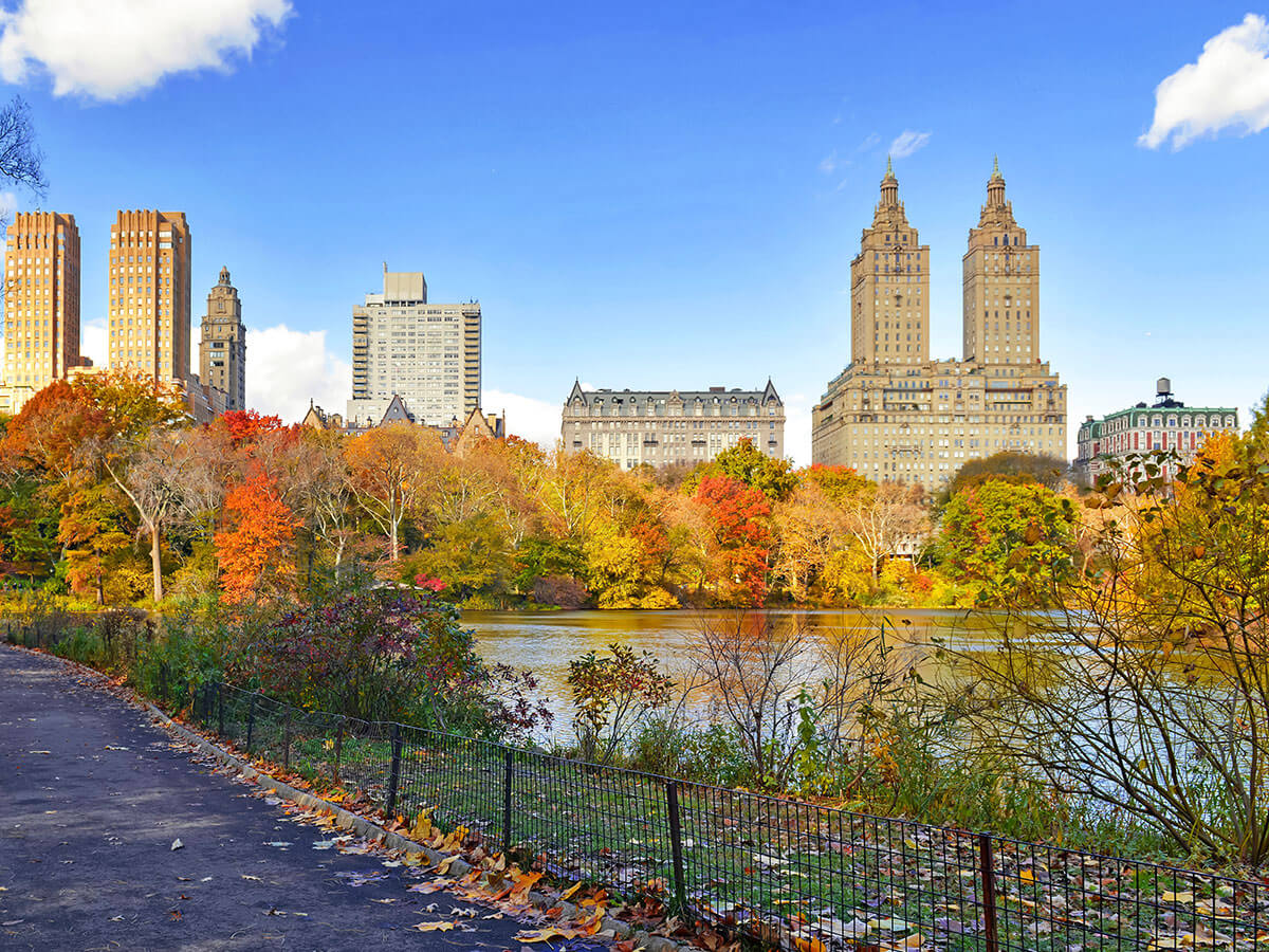 Fall Library Planning Checklist for NYC Schools